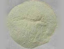 talc powder exporter in Udaipur