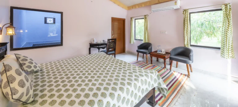 7 Things To Be Aware Of When Visiting Pushkar in 2024