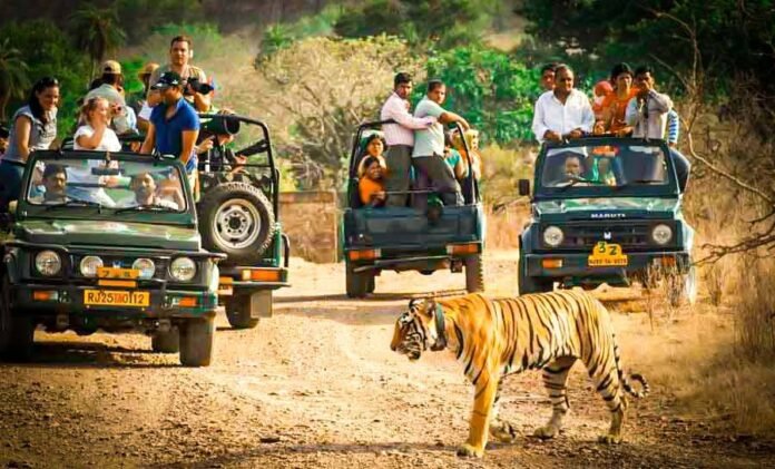 Jeep Safari