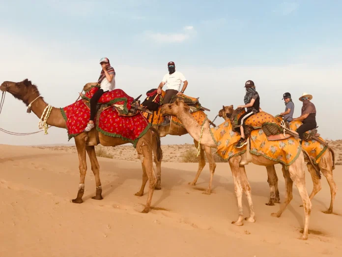 Best Camel Safari In Jaisalmer