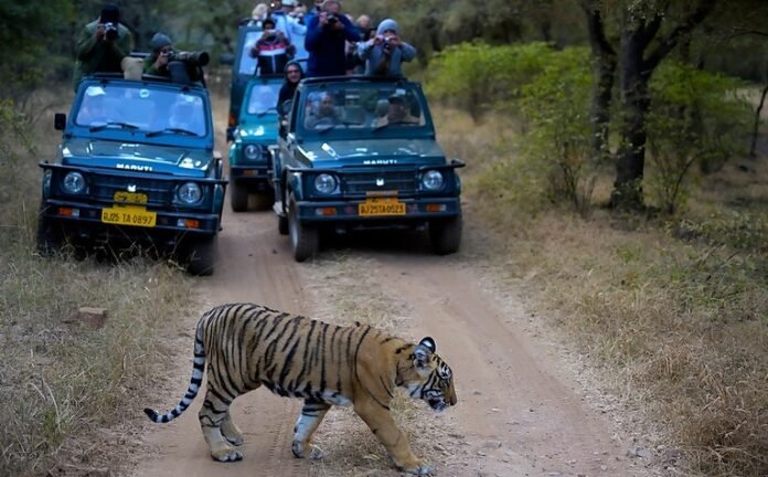 Ranthambore Safari Booking