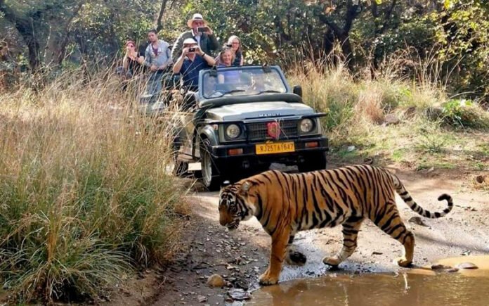 Ranthambore Safari Booking