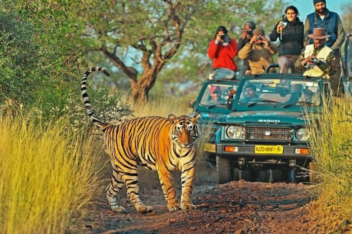 Ranthambore Weekend Plan