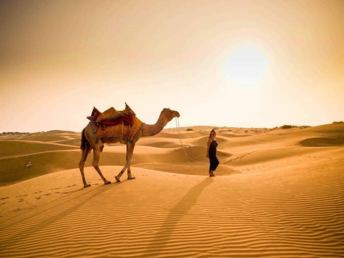 Camel Safari in Jaisalmer