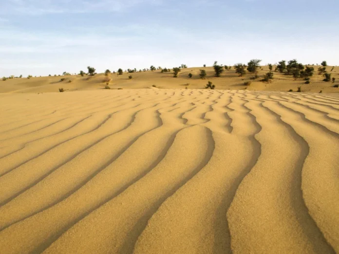 Thar Desert