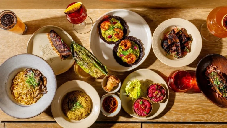 Spice, Aroma, and Tradition: North Indian Cuisine in Indore