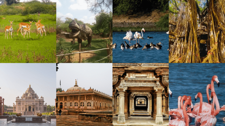 Discover Gujarat: Why It’s Your Next Best Summer Trip